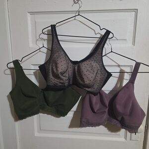 Cacique Mesh and Solid Bra Trio - Black, Green, Purple
